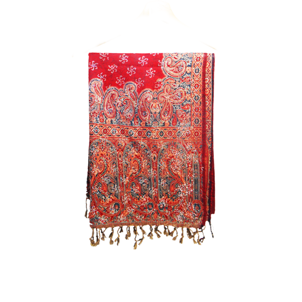 Banarasi Embellished Beaded Shawl - Beechikki - Image 4