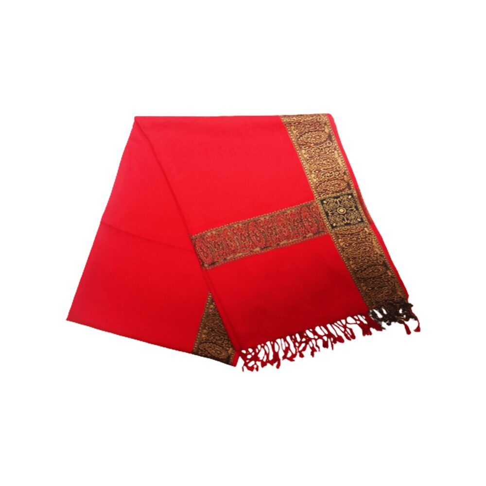 Embroidered Pashmina Style Shawl - Beechikki - Image 13