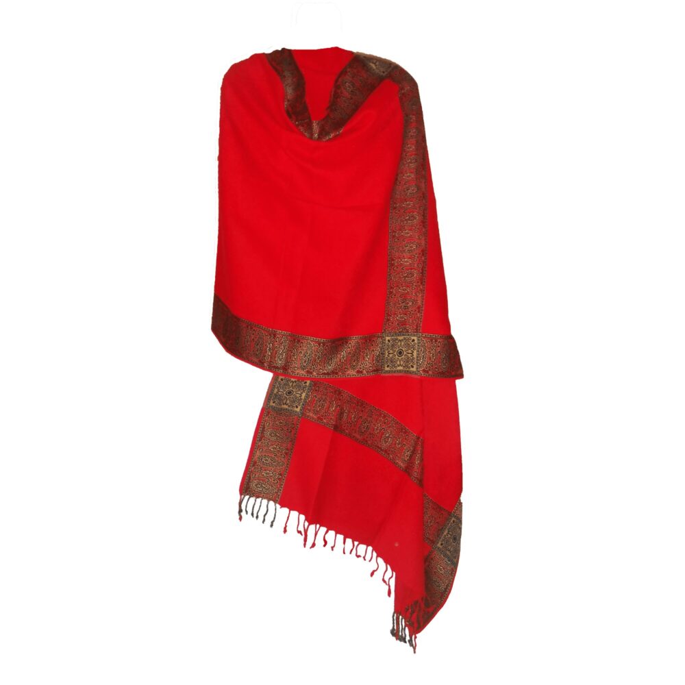 Embroidered Pashmina Style Shawl - Beechikki - Image 12