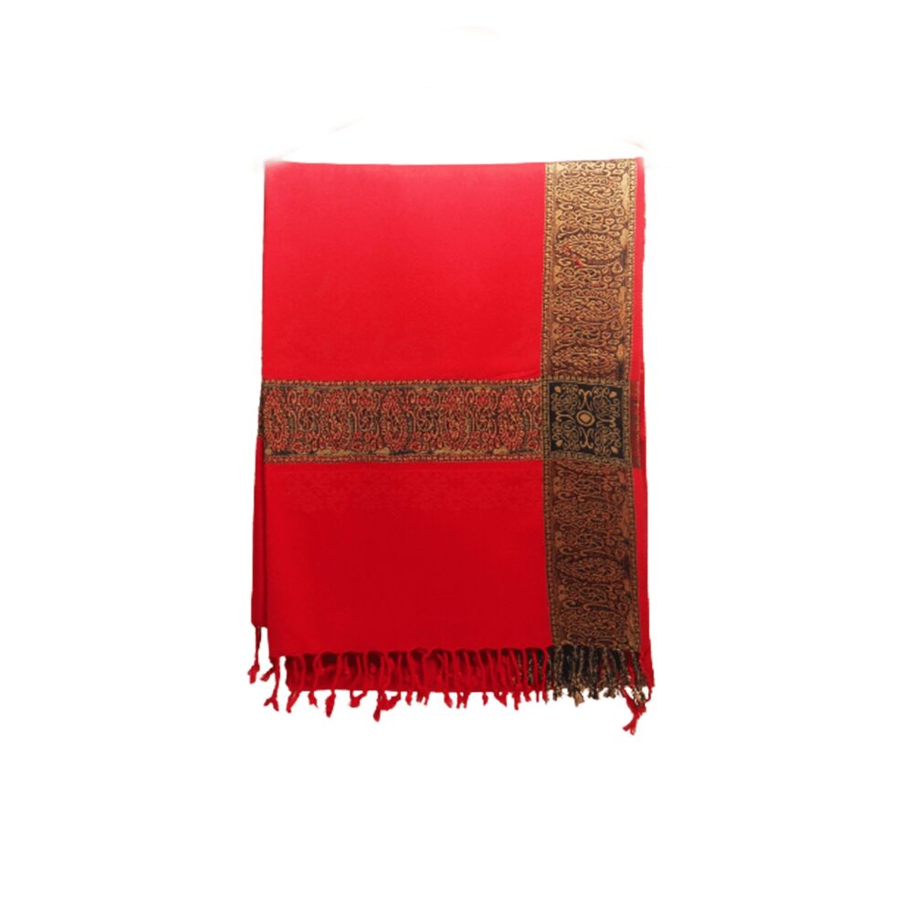 Embroidered Pashmina Style Shawl - Beechikki - Image 11