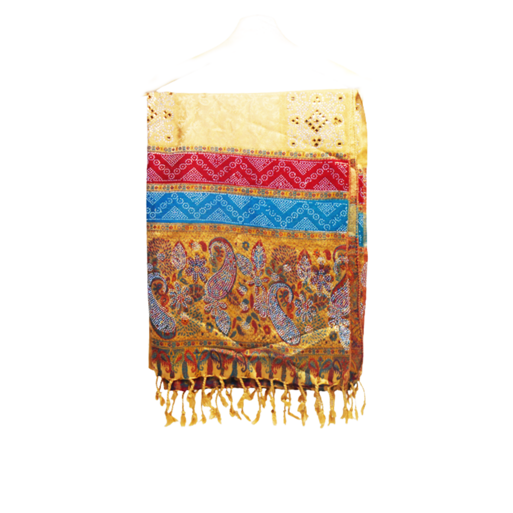 Banarasi Embellished Beaded Shawl - Beechikki - Image 7