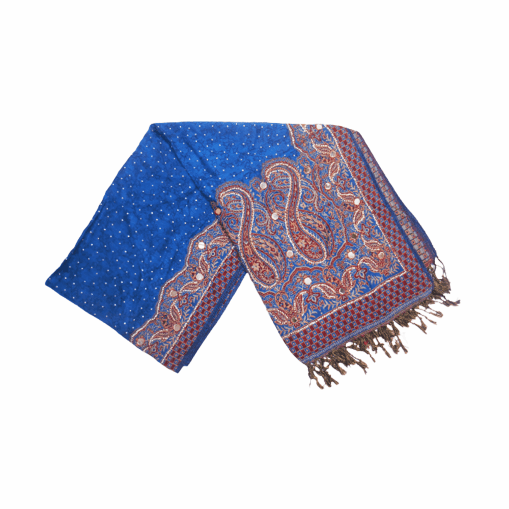 Banarasi Embellished Beaded Shawl - Beechikki - Image 8