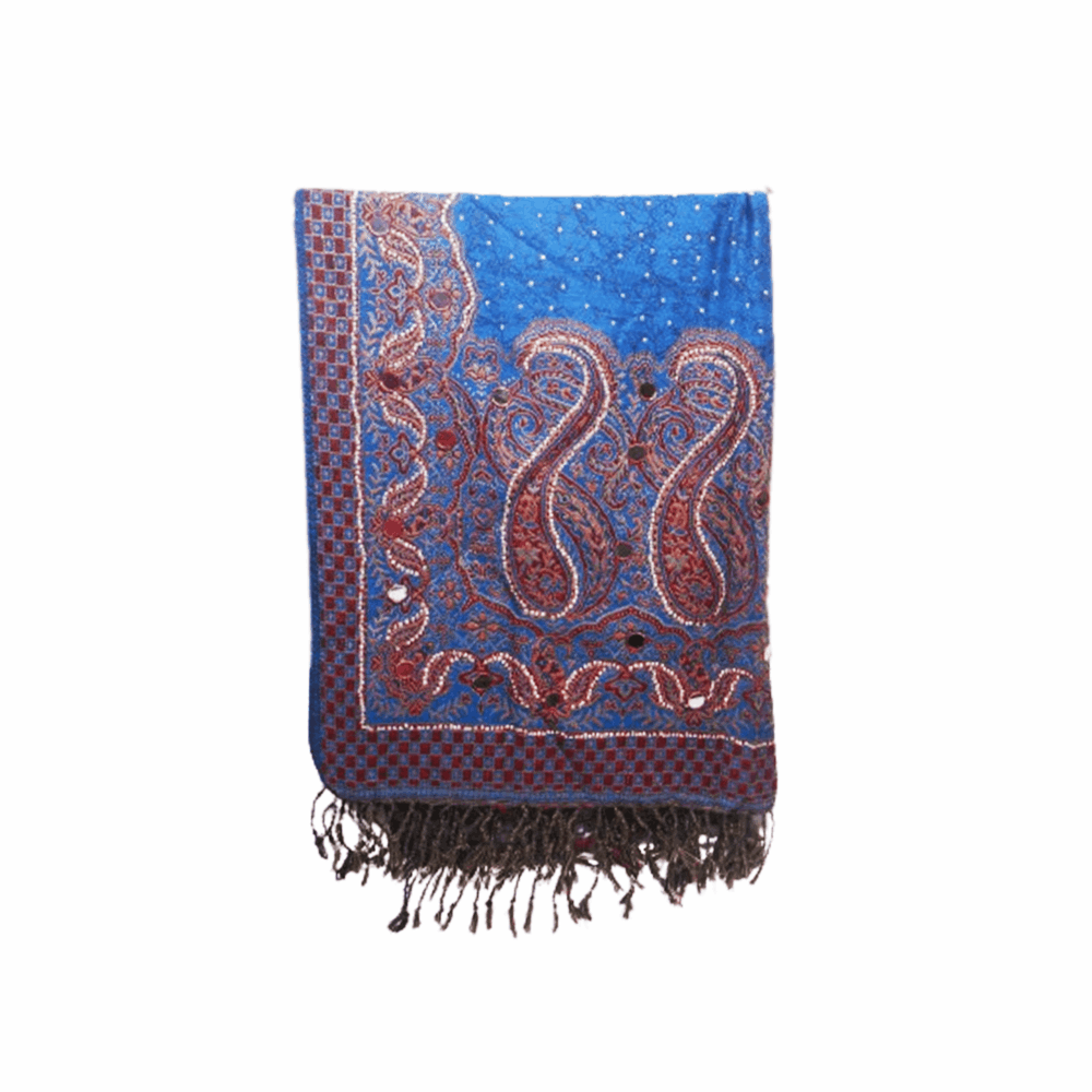 Banarasi Embellished Beaded Shawl - Beechikki - Image 10