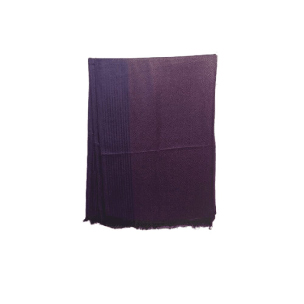 Reversible Ombre Pashmina Shawl Wrap for Women - Beechikki - Image 10