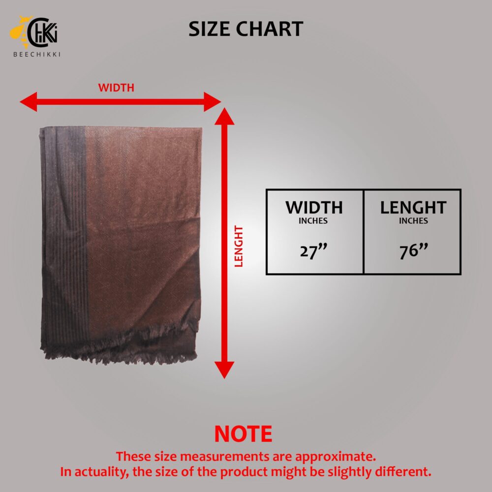 Reversible Ombre Pashmina Shawl Wrap for Women - Beechikki - Image 14